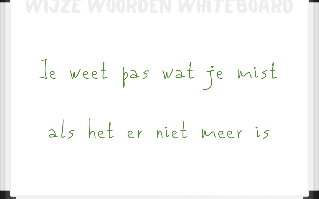 Dit had eigenlijk een zwangerschapsaankondiging moeten zijn